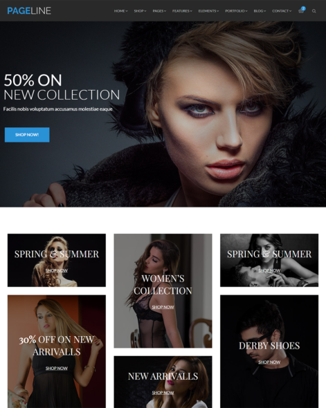 PageLine - Bootstrap Based Multi-Purpose HTML5 Template - Image 3
