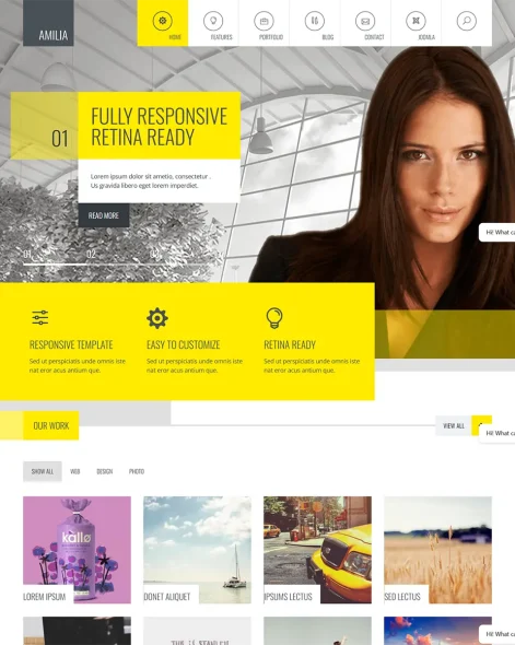 Amilia Joomla Template