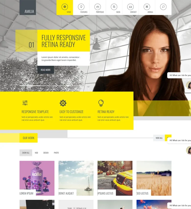Amilia Joomla Template