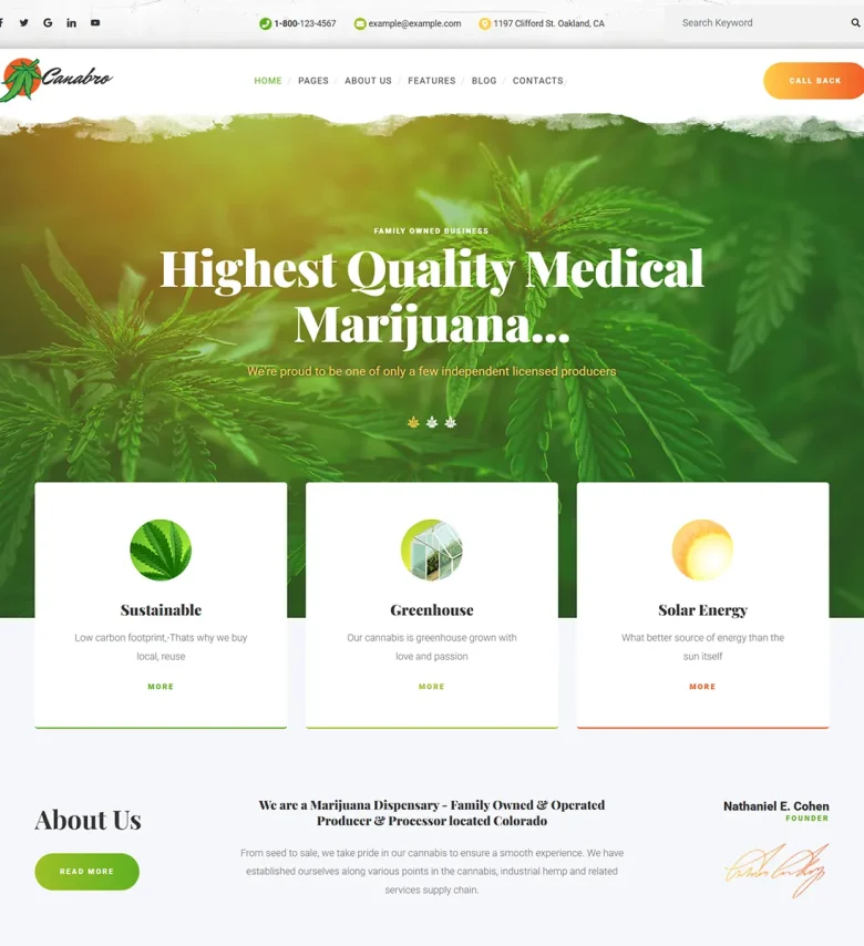 Canabro - Joomla 5 Cannabis & Medical Marijuana Template