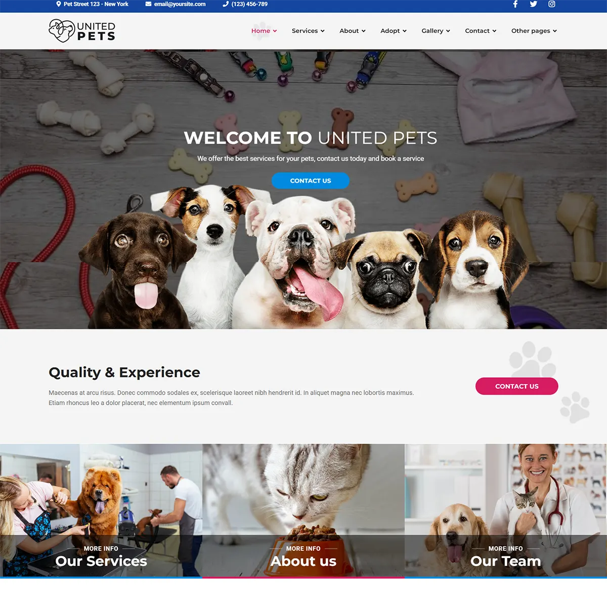 United Pets - Joomla 5 Pet Care & Adoption Template